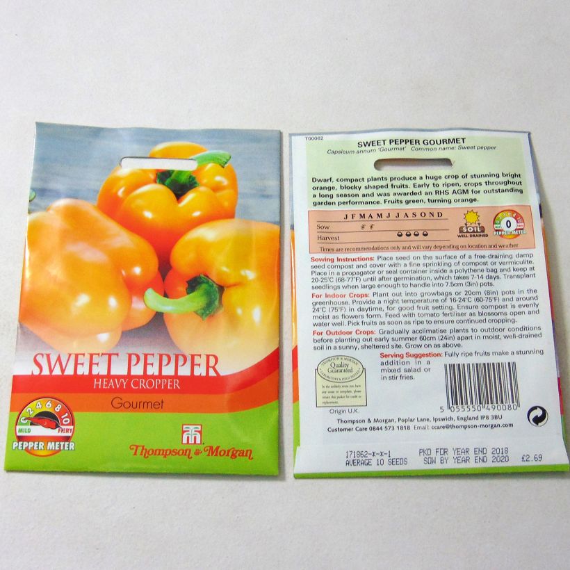 Ejemplo de ejemplar de Pimiento Gourmet saco de 10 semillas tal y como se entrega