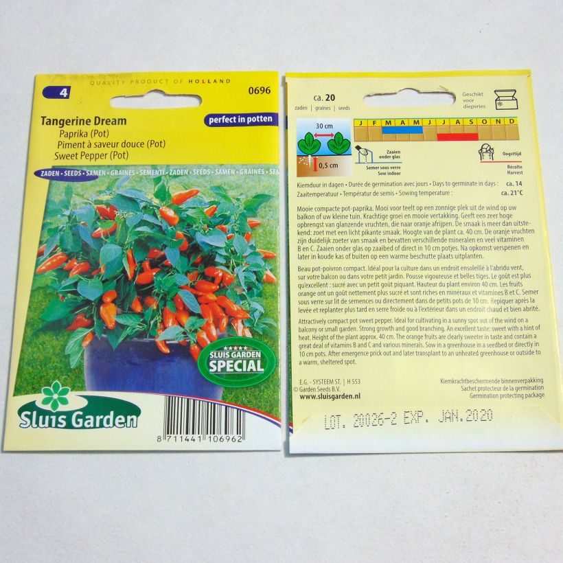 Ejemplo de ejemplar de Pimiento Tangerine Dream saco de 20 semillas tal y como se entrega