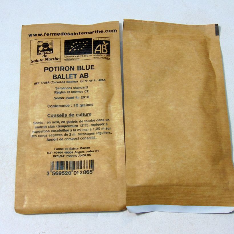 Ejemplo de ejemplar de Calabaza Blue Ballet saco de 10 semillas (1g) tal y como se entrega