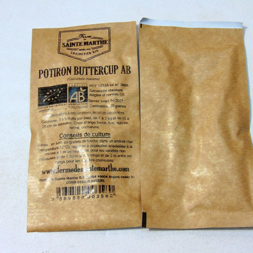 Ejemplo de ejemplar de Calabaza Buttercup saco de 20 semillas (3g) tal y como se entrega