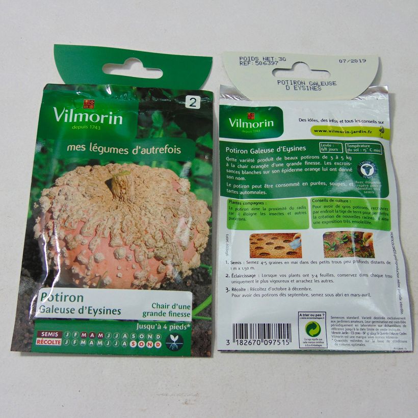 Ejemplo de ejemplar de Calabaza Galeuse d'Eysines saco de 18 semillas (3g) tal y como se entrega