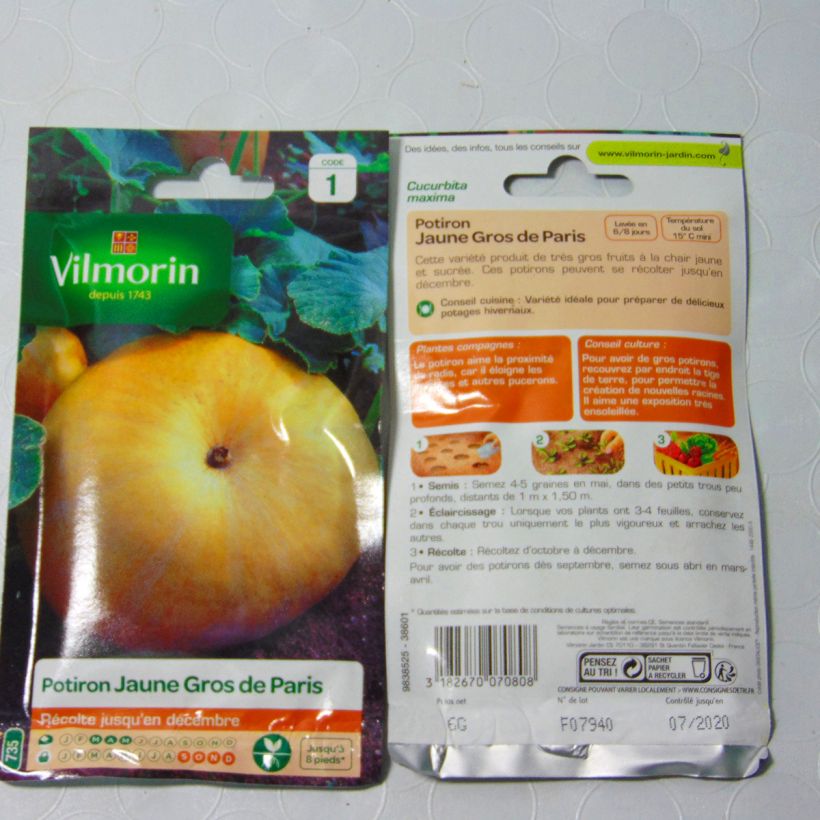 Ejemplo de ejemplar de Calabaza Jaune Gros de Paris - Vilmorin saco de 36 semillas (6g) tal y como se entrega