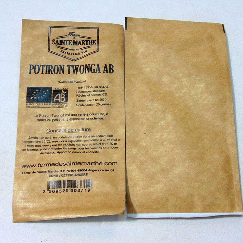 Ejemplo de ejemplar de Calabaza China Twonga saco de 20 semillas (1g) tal y como se entrega
