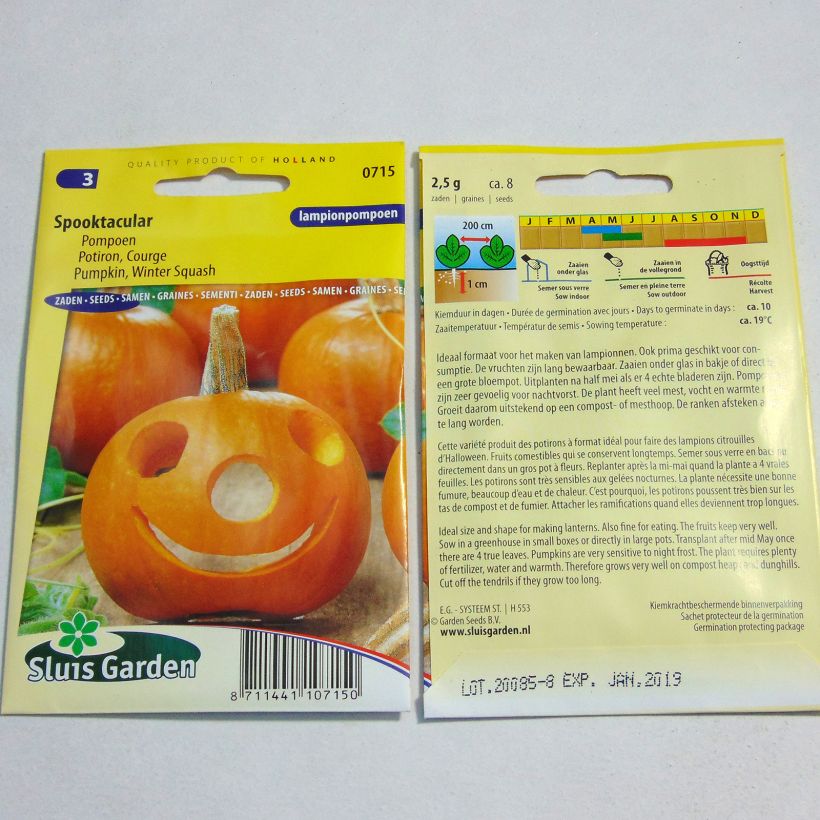 Ejemplo de ejemplar de Calabacín Spooktacular saco de 8 semillas (2g) tal y como se entrega