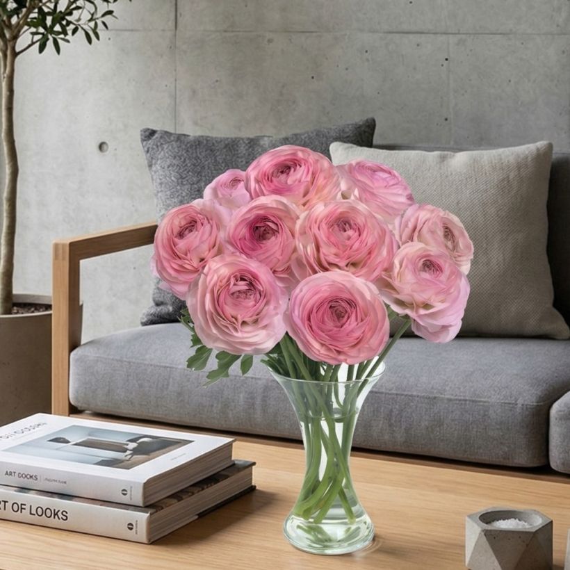 Ranúnculo Romance Seine – Ranunculus asiaticus (Porte)