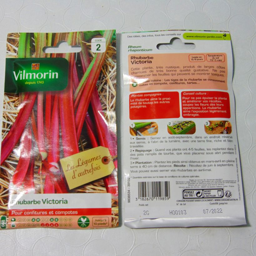 Ejemplo de ejemplar de Ruibarbo Victoria - Vilmorin saco de 80 semillas (2g) tal y como se entrega