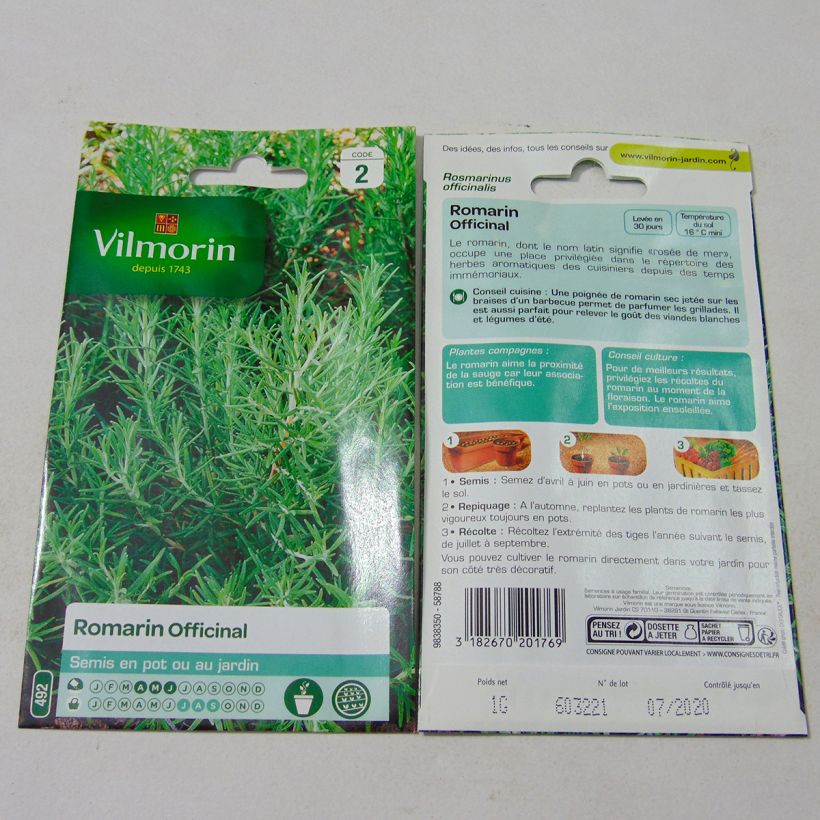 Ejemplo de ejemplar de Romero - Vilmorin - Rosmarinus officinalis saco de 1 gramos de semillas tal y como se entrega