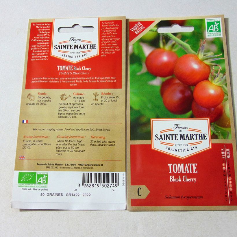 Ejemplo de ejemplar de Tomate Black Cherry BIO saco de 50 semillas tal y como se entrega
