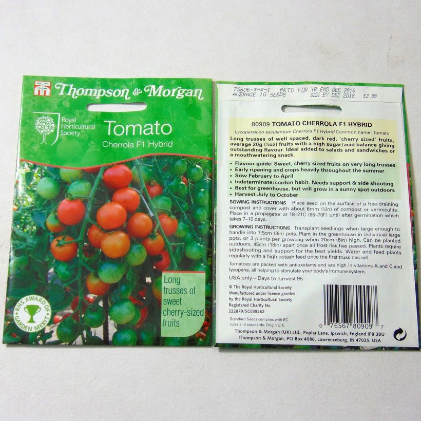 Ejemplo de ejemplar de Tomate cherri Cherrola saco de 10 semillas tal y como se entrega