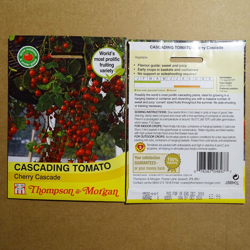 Ejemplo de ejemplar de Tomate cherri Cherry Cascade saco de 8 semillas tal y como se entrega