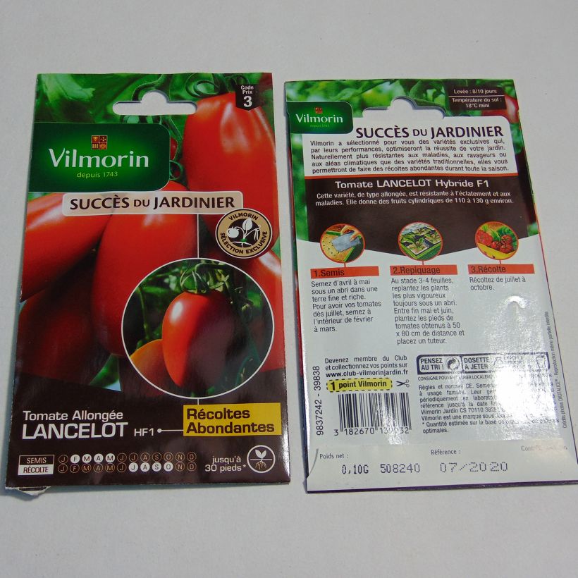 Ejemplo de ejemplar de Tomate Lancelot saco de 30 semillas (0.1g) tal y como se entrega