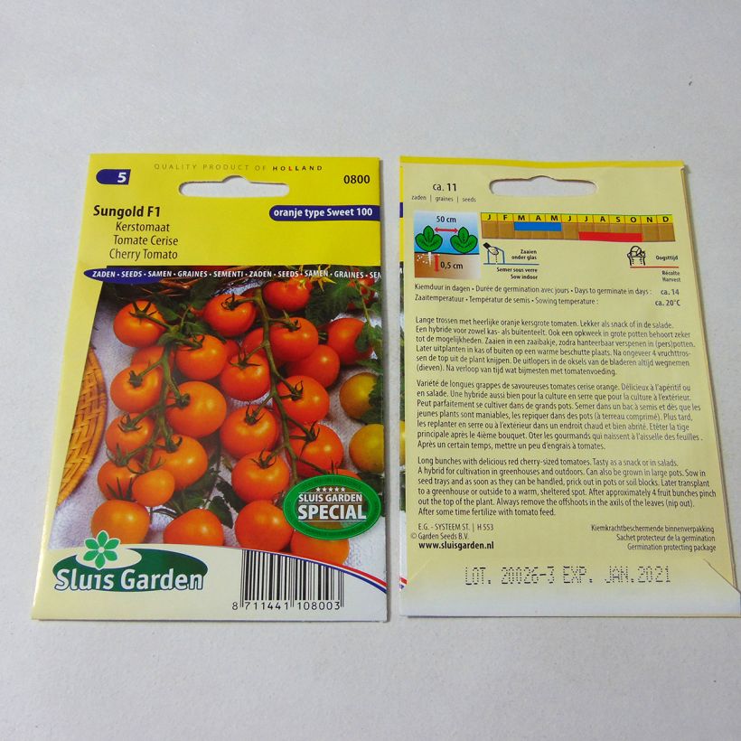 Ejemplo de ejemplar de Tomate cherri Sungold saco de 11 semillas tal y como se entrega