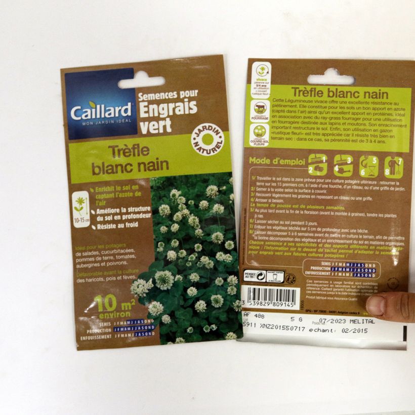 Ejemplo de ejemplar de Trébol blanco enano nain - Trifolium repens saco de 5 gramos de semillas tal y como se entrega