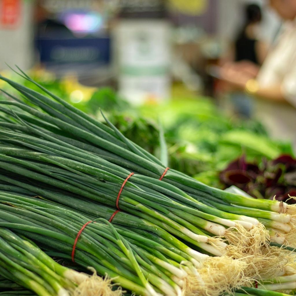 Cebolletas chinas (plantas)