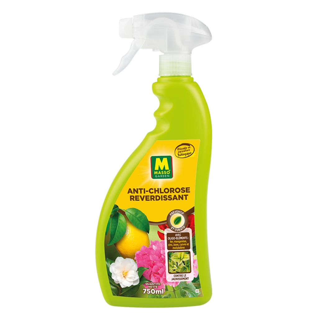 Anti-Clorosis PAE 750 ml UAB Masso