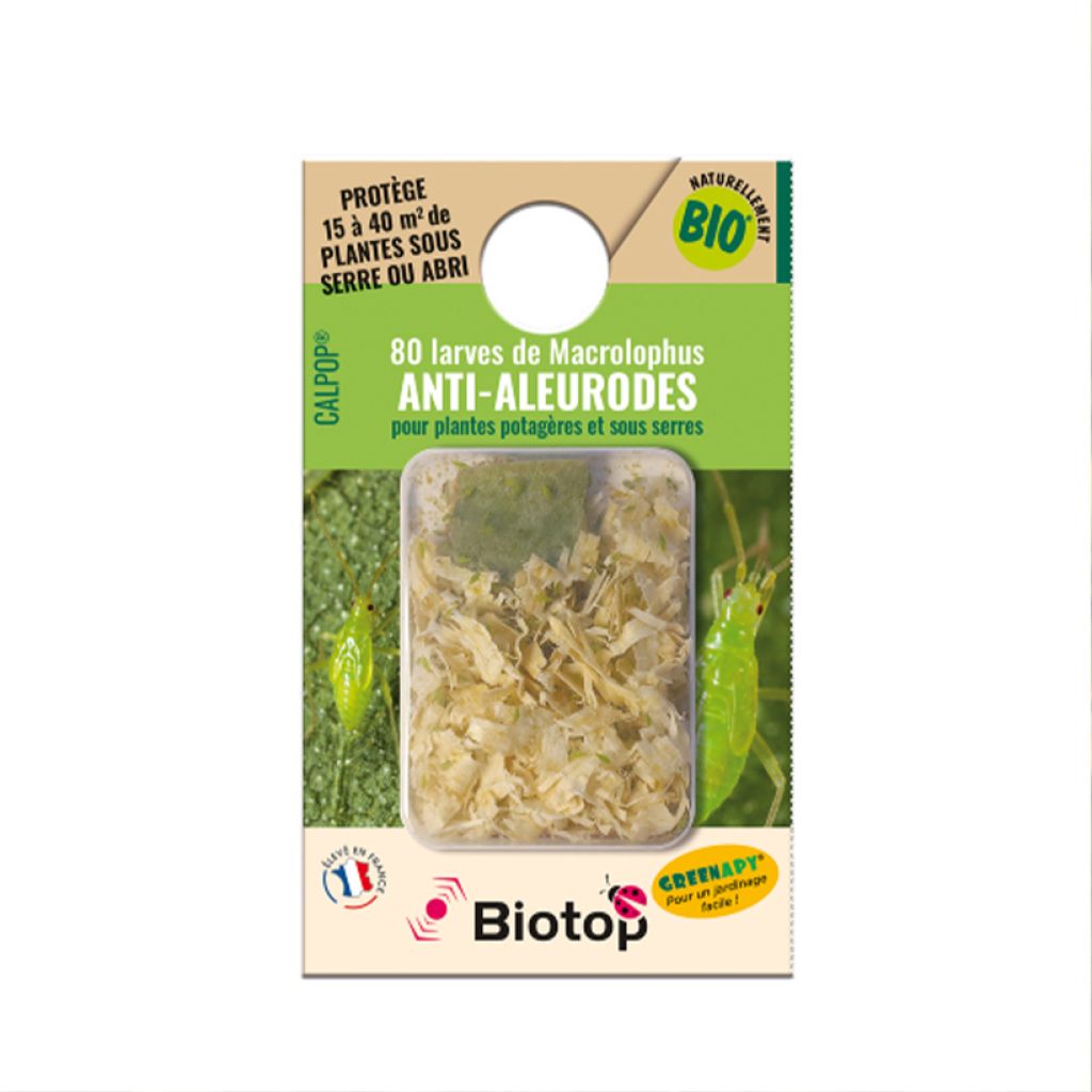 CALPOP larva contra las moscas blancas y ácaros Biotop