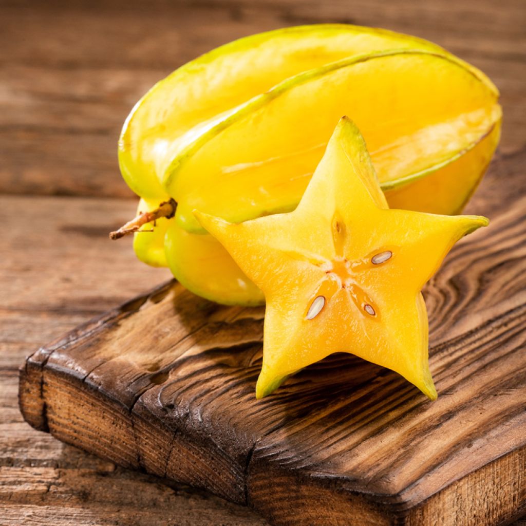 Carambola Arkin