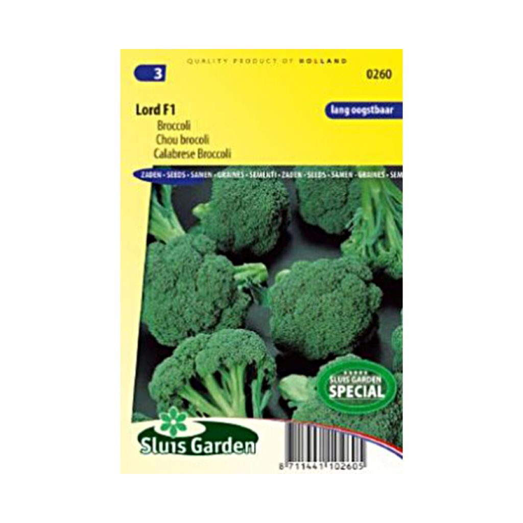 Brócoli Lord F1