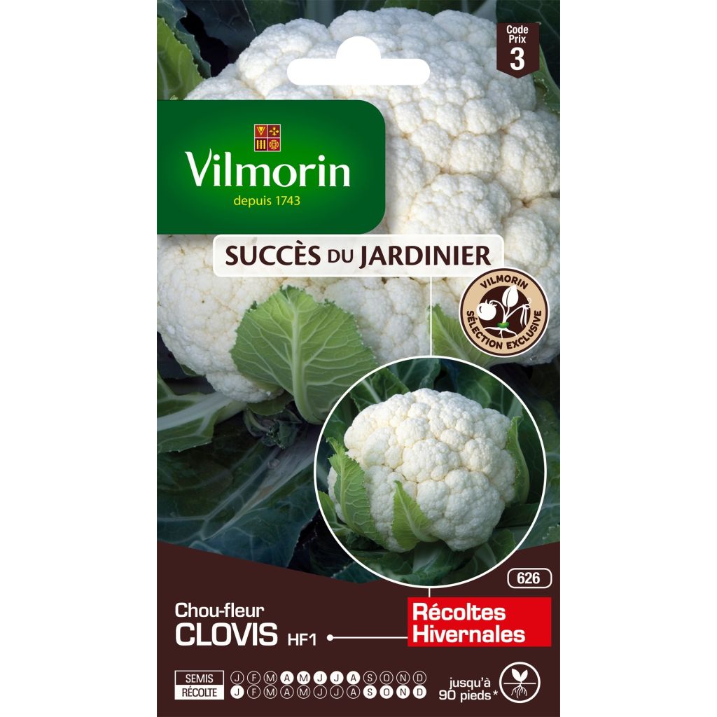 coliflor Clovis F1