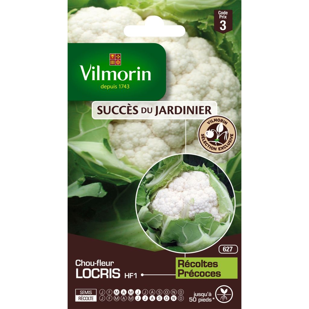 Coliflor Locris F1