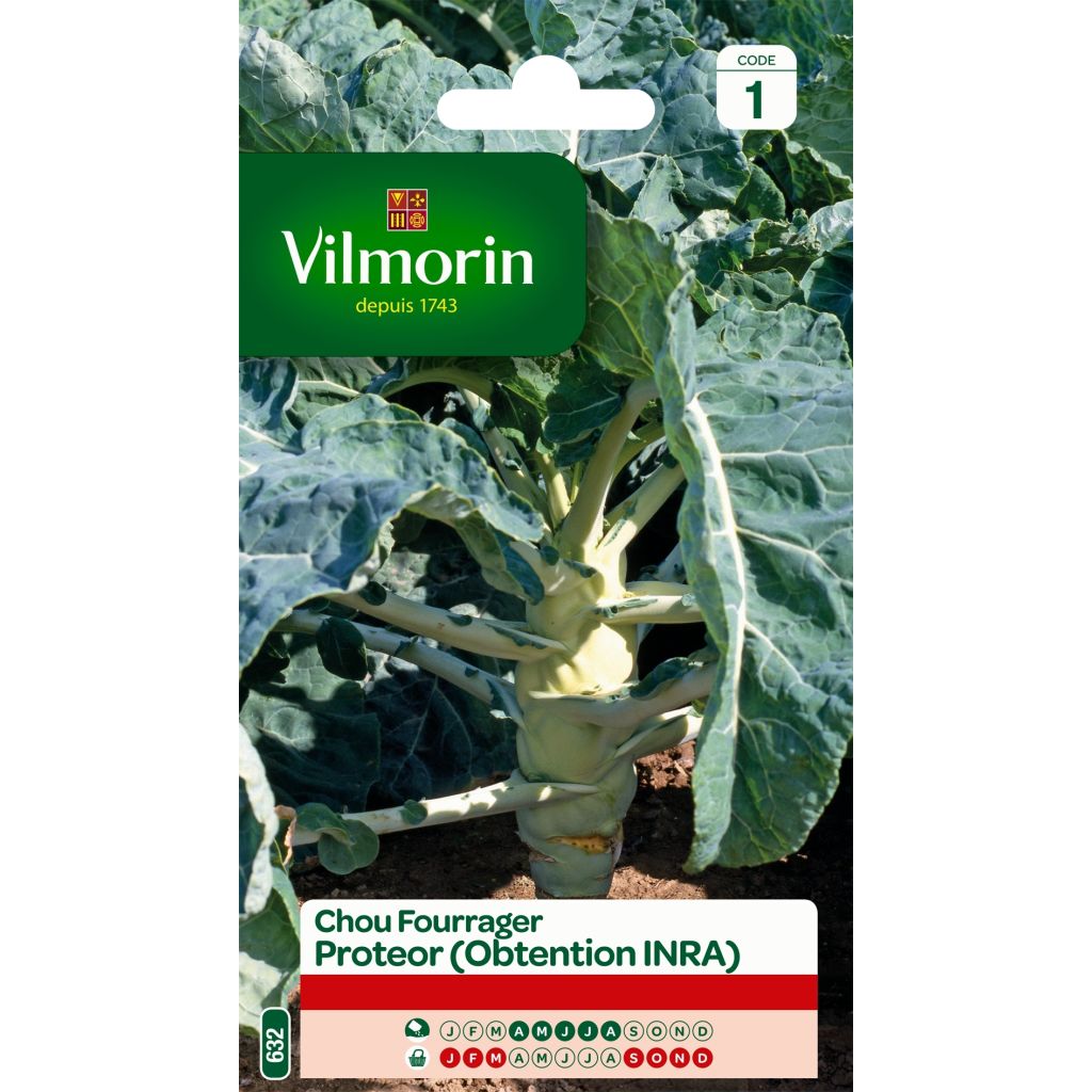 Col forrajera Proteor - Vilmorin