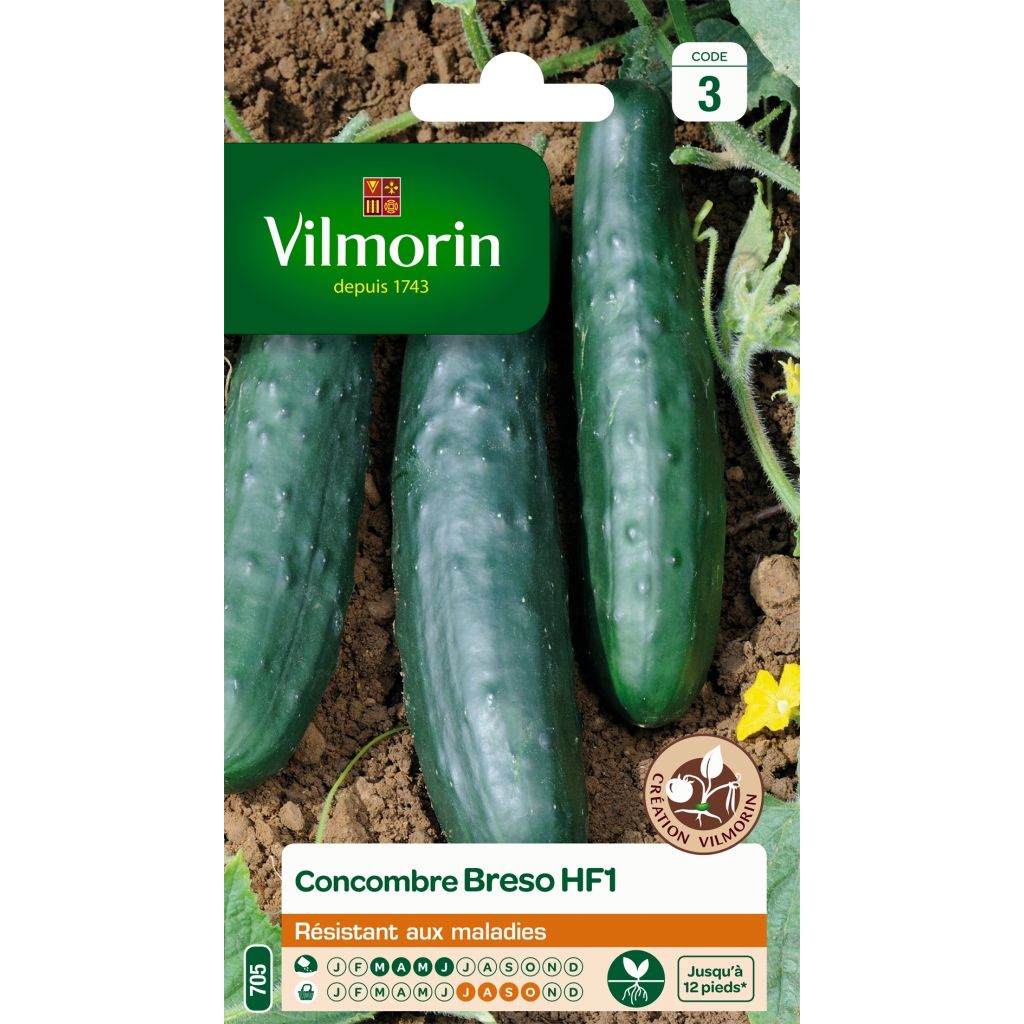 Pepino Breso F1