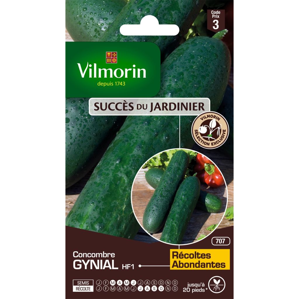 Pepino Gynial F1 - Vilmorin