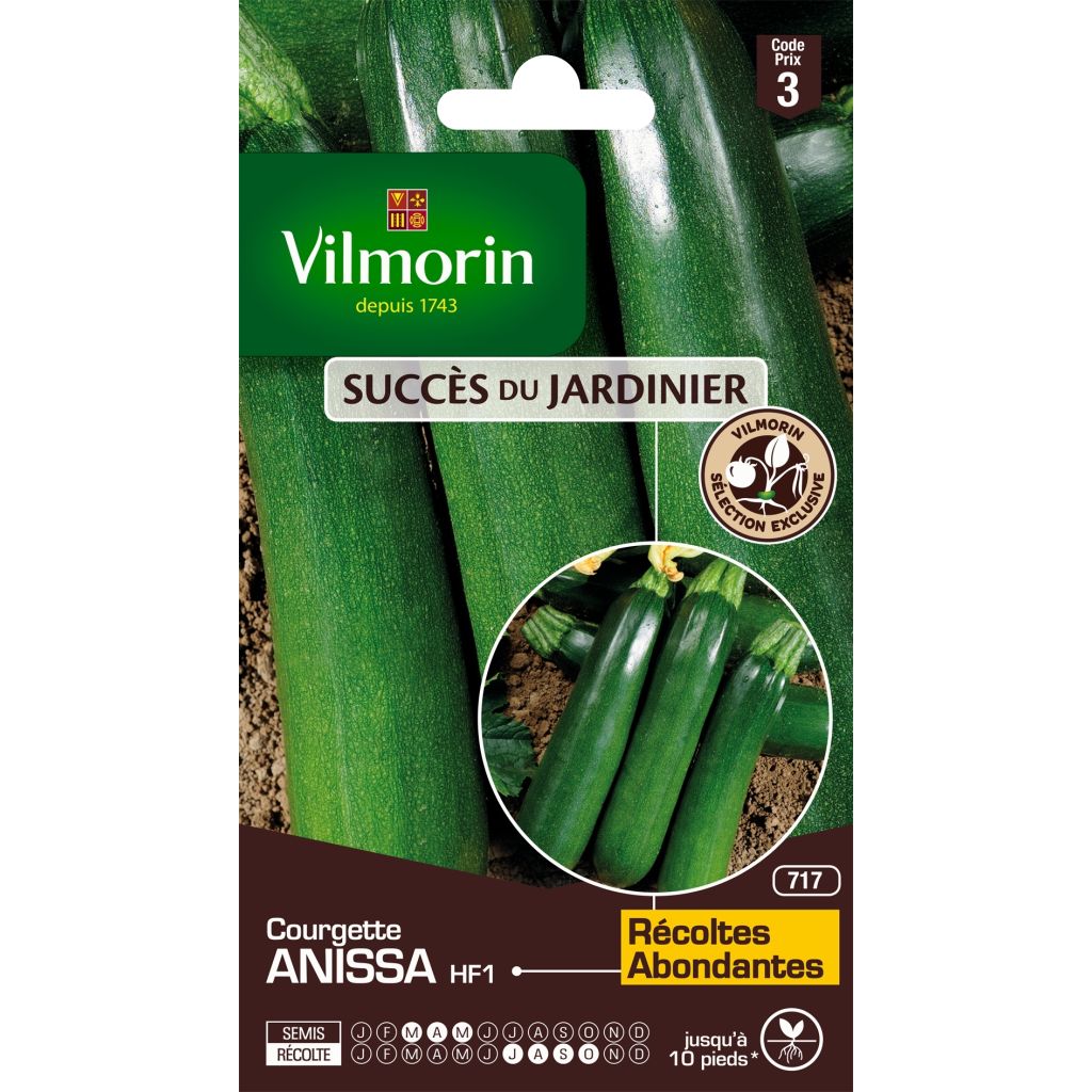 Calabacín Anissa F1