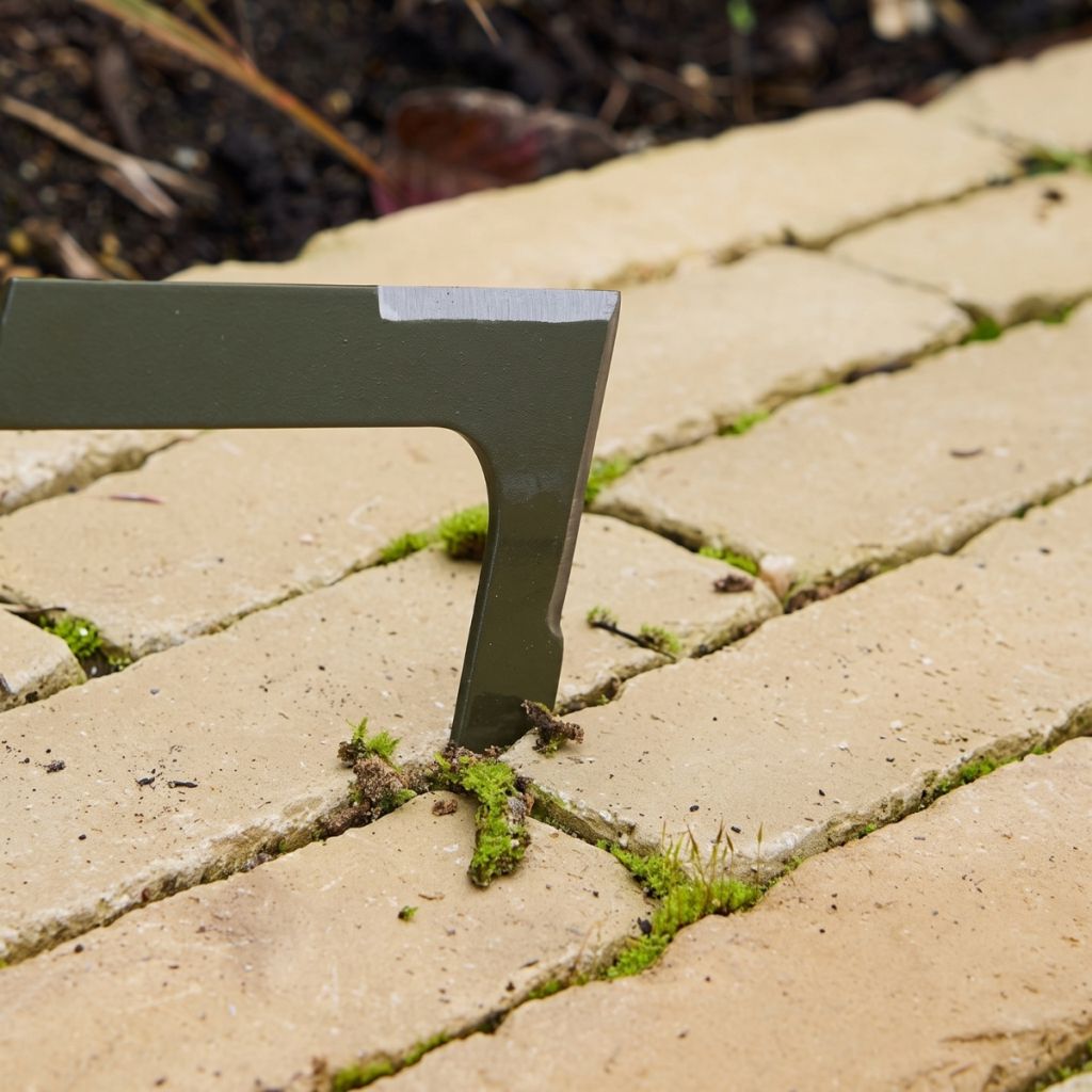 Cuchillo para desherbar adoquines BoronGreen Burgon & Ball - Gama RHS