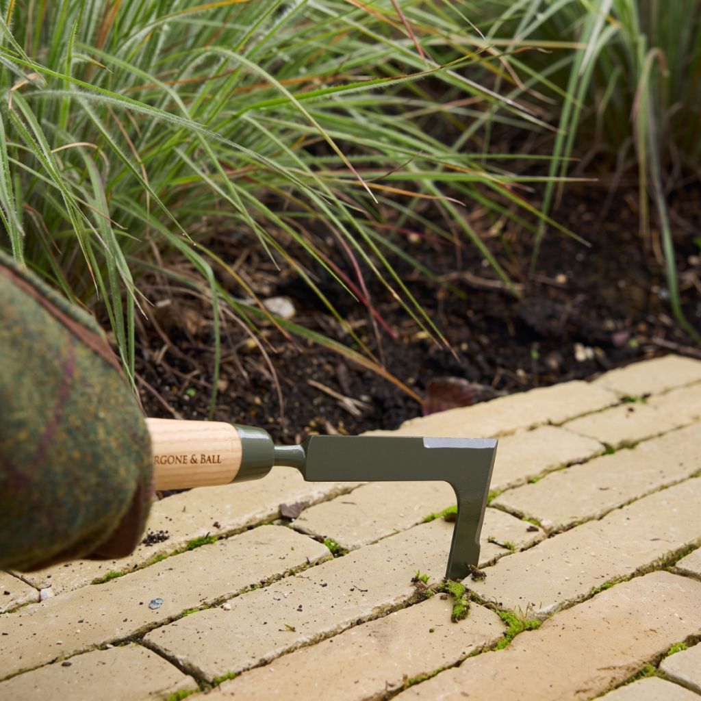 Cuchillo para desherbar adoquines BoronGreen Burgon & Ball - Gama RHS