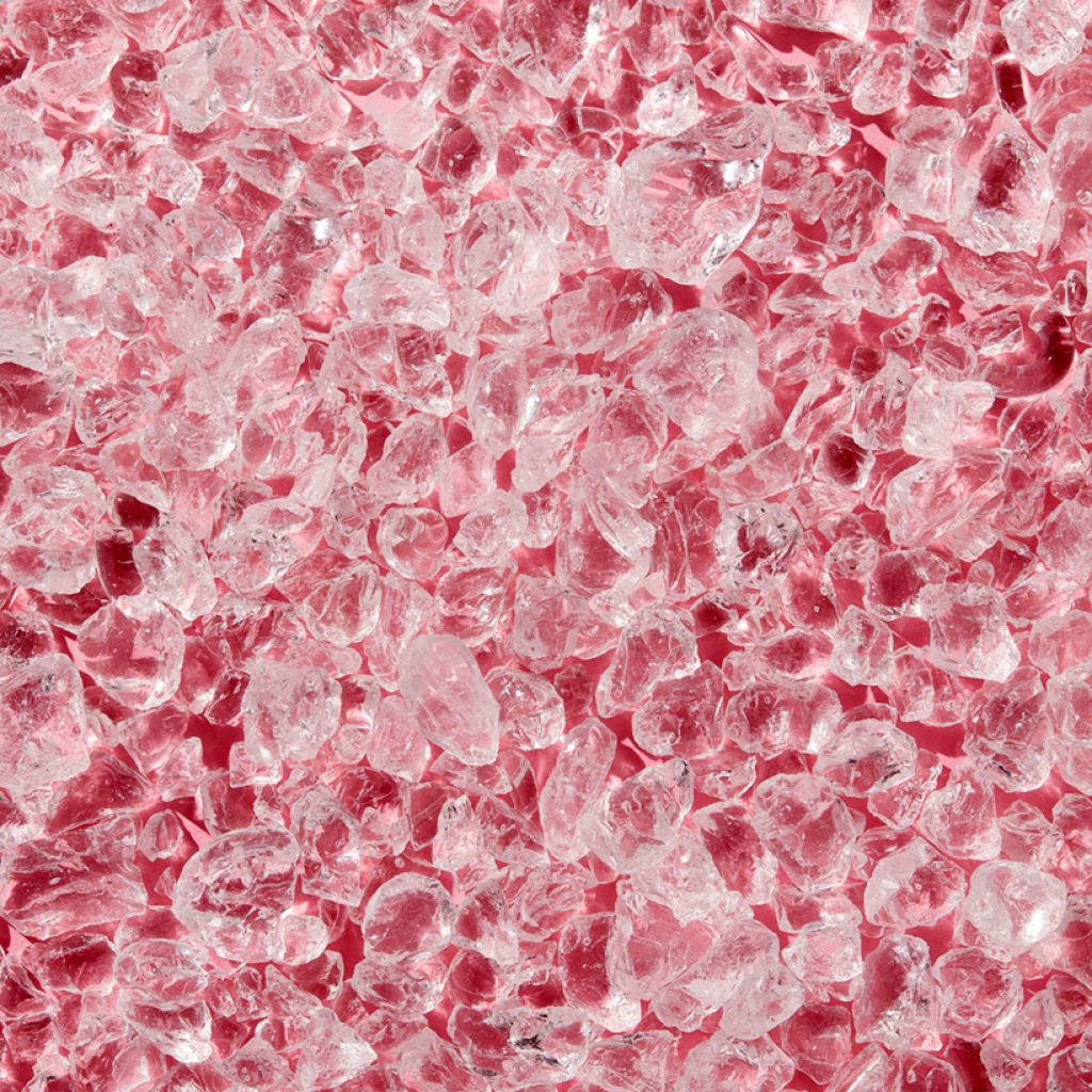 Rosa Crystal Ice