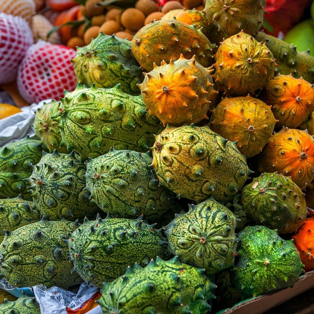 Pepino africano (semillas)