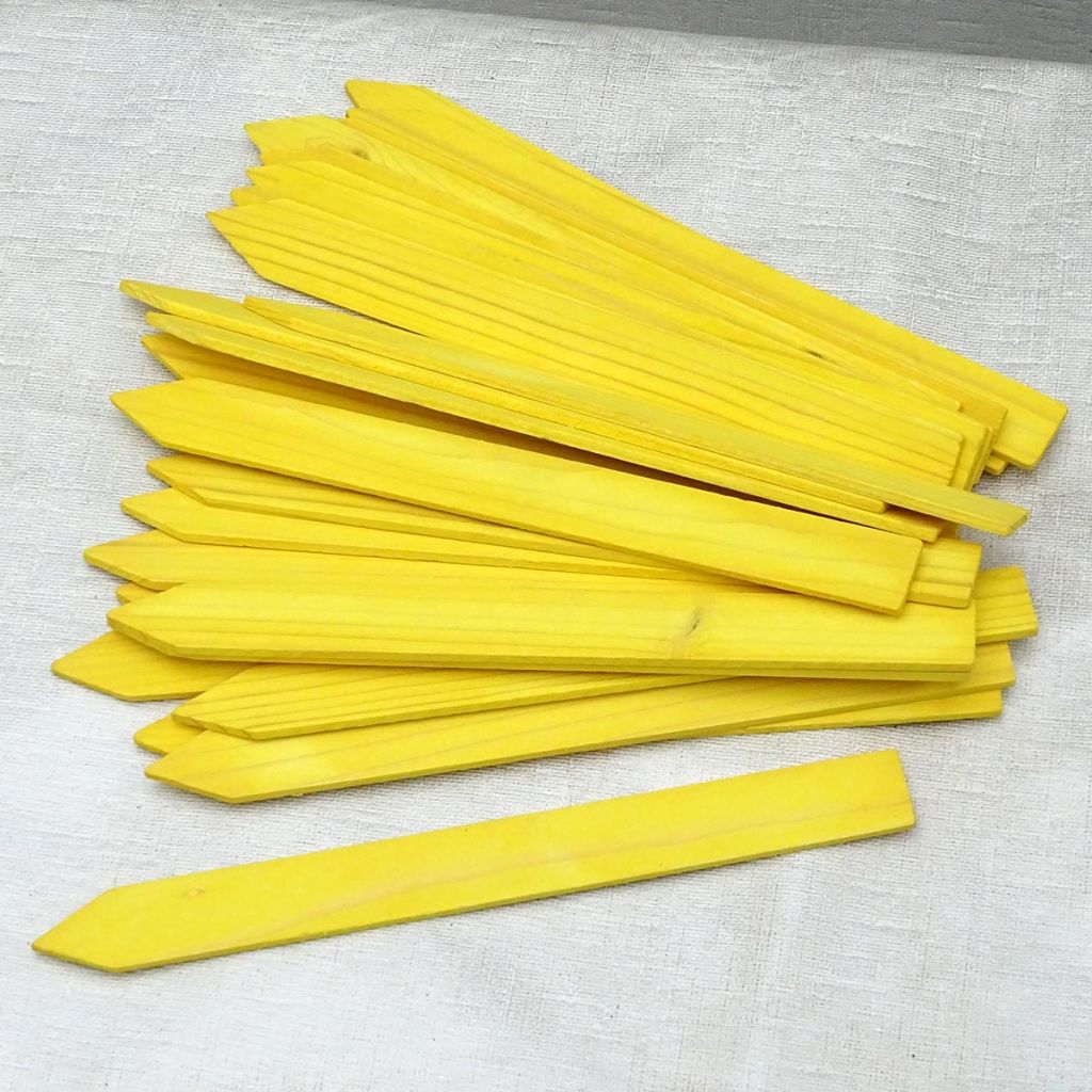 Etiqueta para plantar en madera amarilla