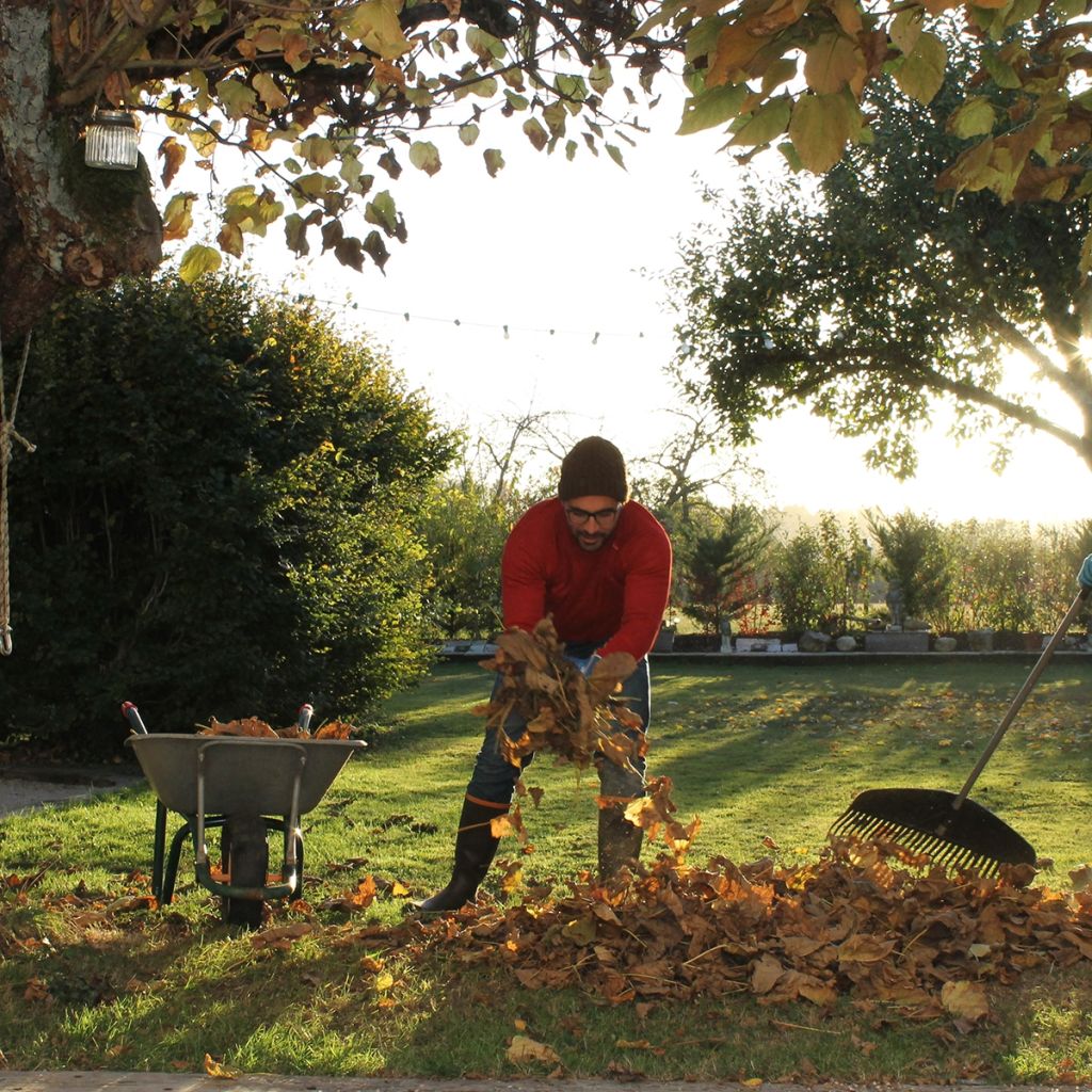 Guantes para trabajos pesados y poda Rostaing palma de cuero Cierre marrón