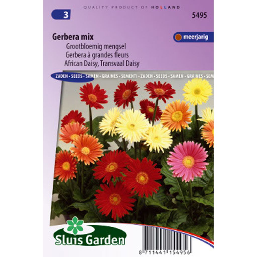 Gerbera Mix (semillas) - Margarita africana