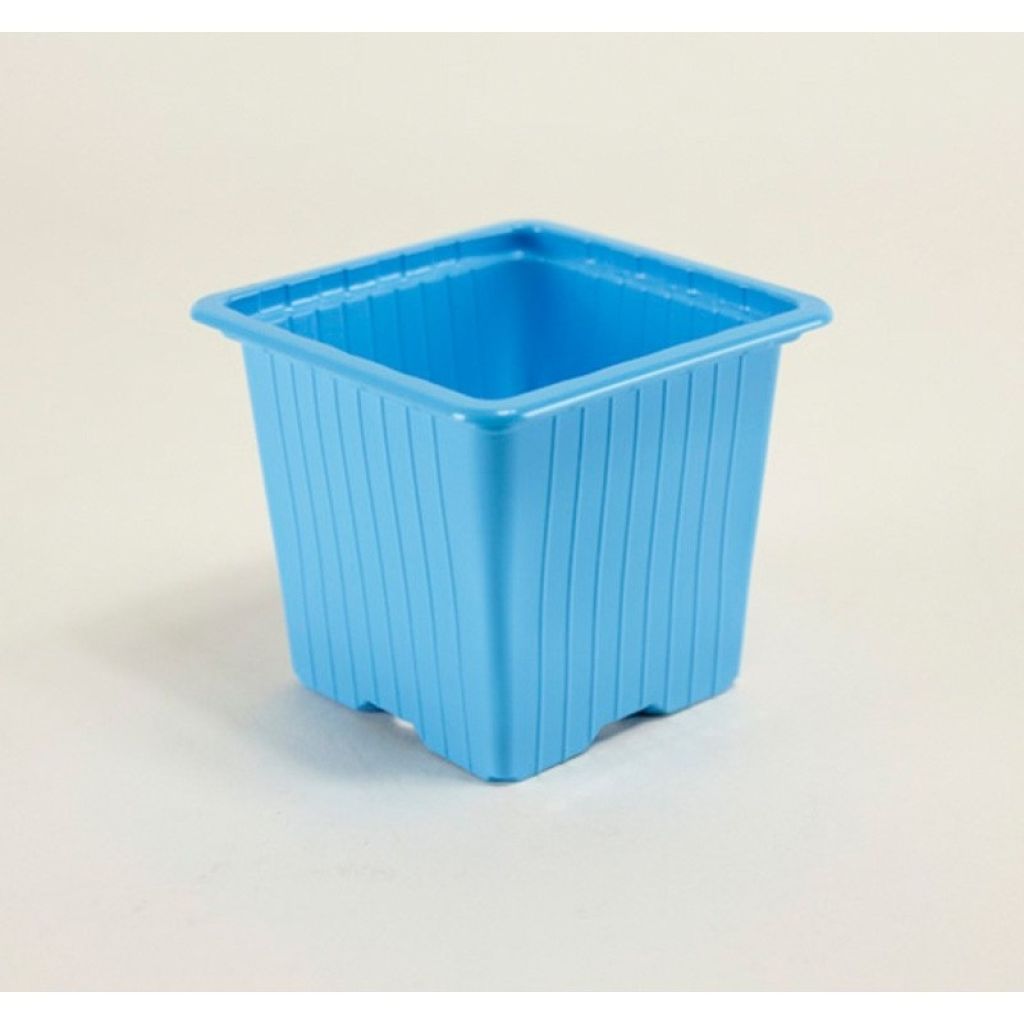 Maceta de colores variados de Propagación - vendido por 30