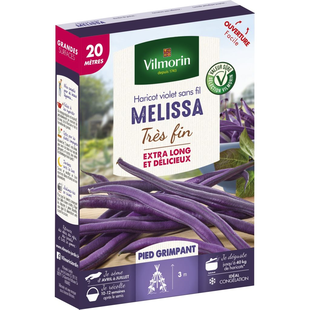 Haricot à rames mangetout Melissa (Création Vilmorin) - Vilmorin