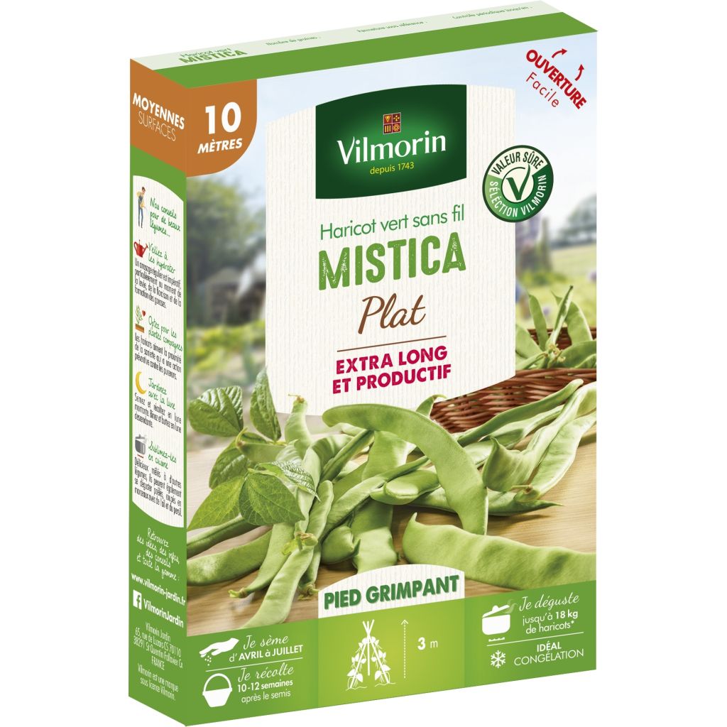 Judía de enrame Mistica