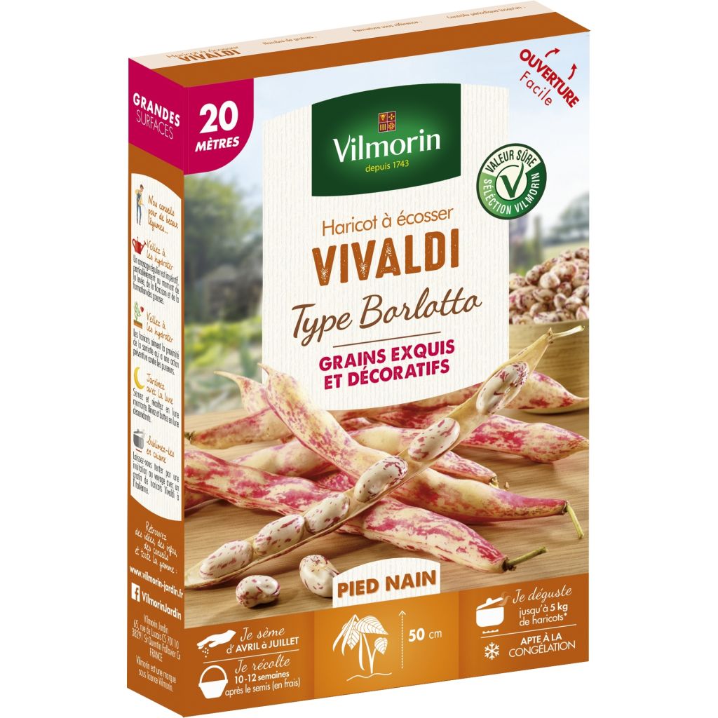 Judía enana Vivaldi