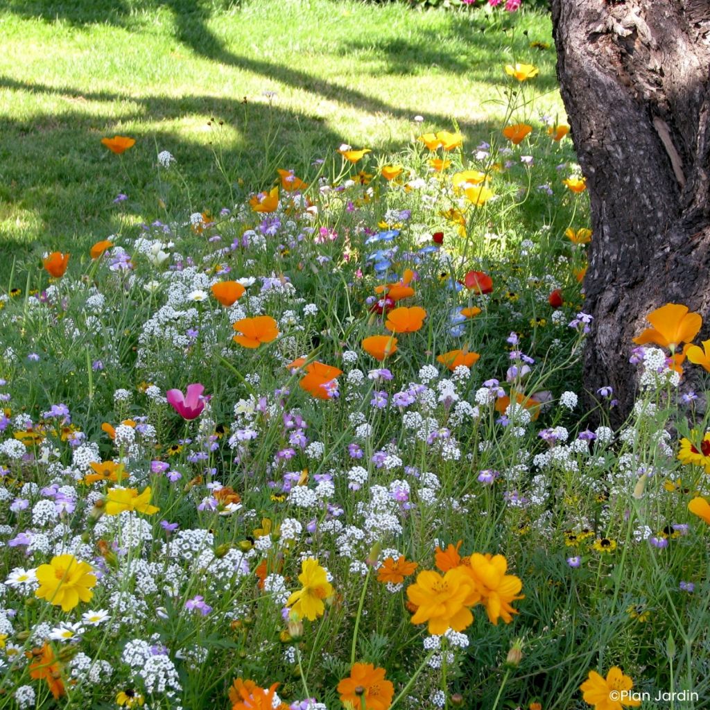 Mezcla para pies de árboles
