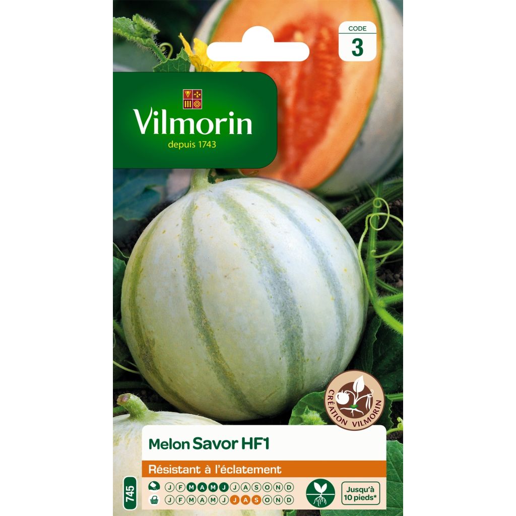 Melón Savor