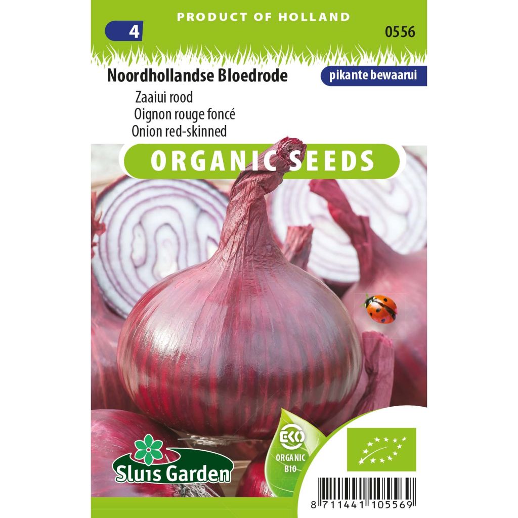 Cebolla Noordhollandse Bloerode Bio