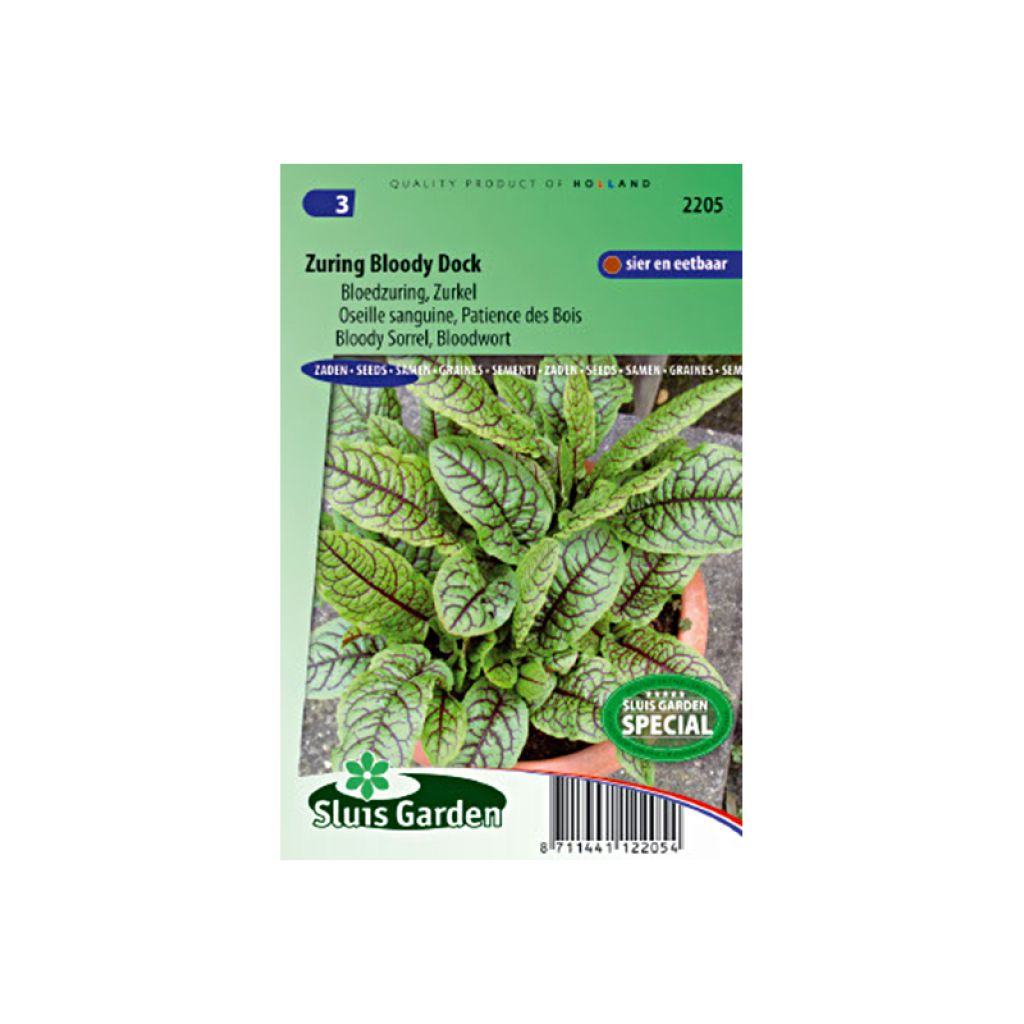 Acedera Patience Des Bois