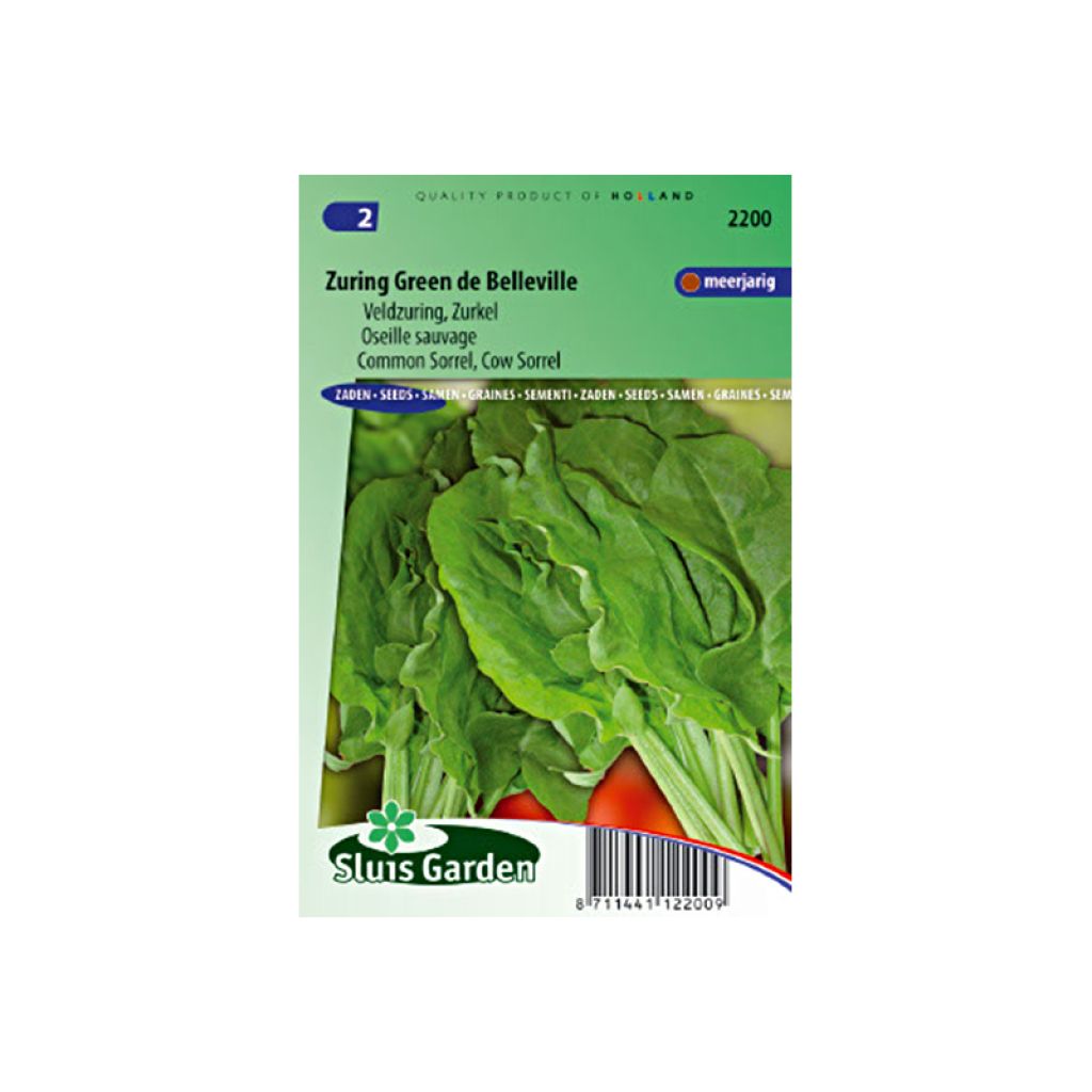Acedera común (semillas) - Rumex acetosa