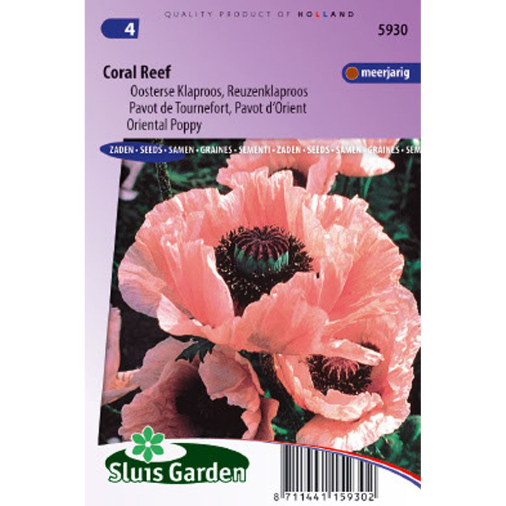 Pavot d'orient - Papaver orientale Coral Reef