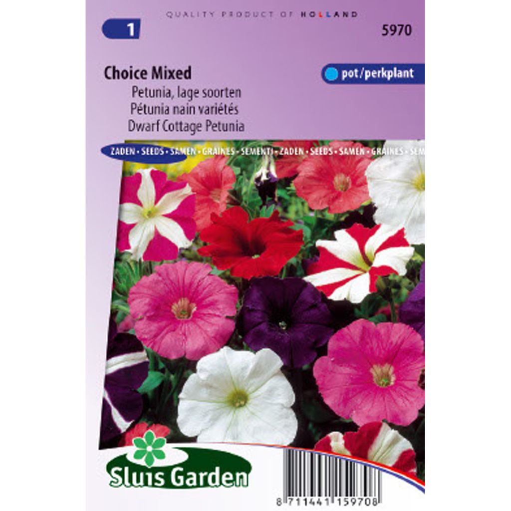 Pétunias nains  Choice en mélange - Petunia hybrida nana compacta