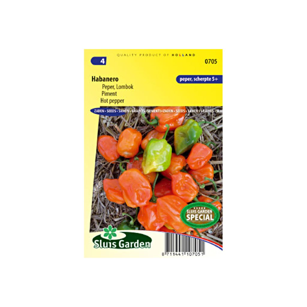 Pimienta Habanero - Capsicum chinense