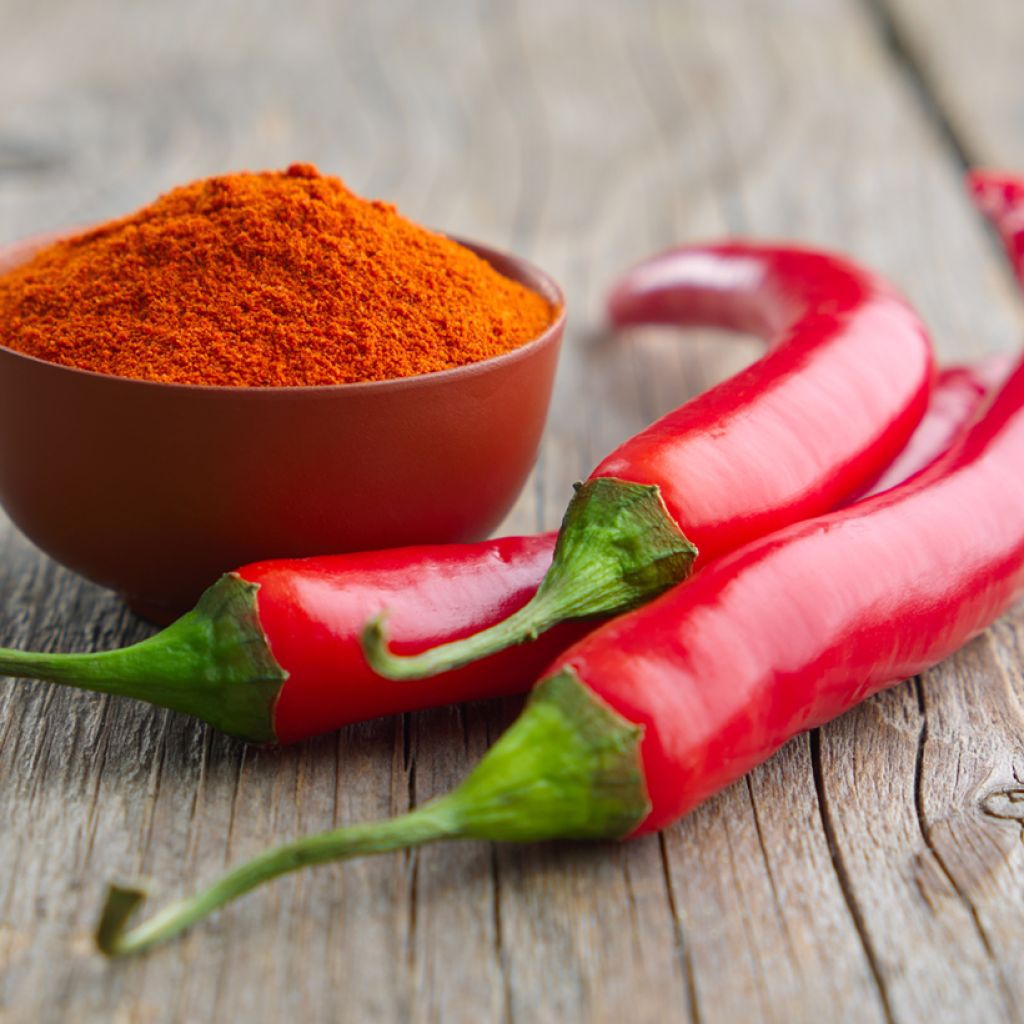 Pimenta de Cayenna (semillas)