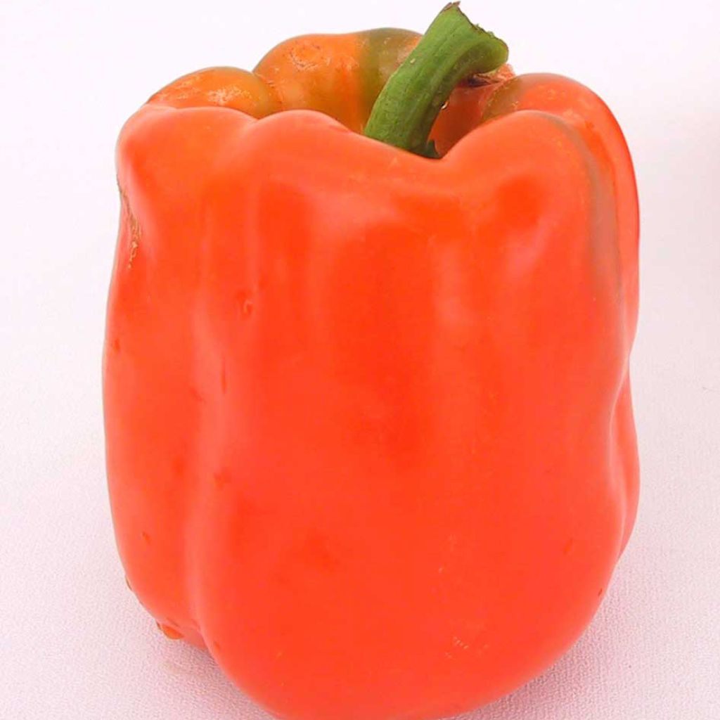 Pimiento California Orange Wonder