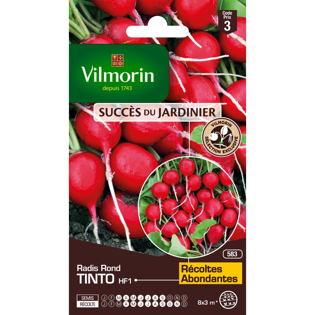 Rábano Tinto F1